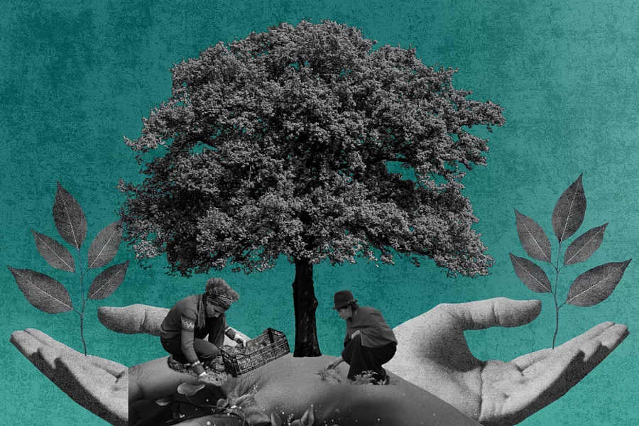 Collage en tonos verdes y blanco y negro de un árbol sostenido por manos abiertas, acompañado de dos personas trabajando la tierra como símbolo de cuidado ambiental y sostenibilidad de la vida.