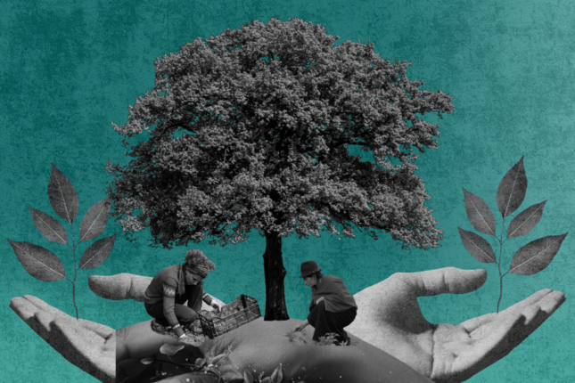 Justicia ambiental y fiscal